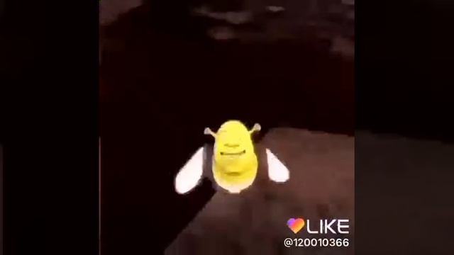 прикол про шрэка смотреть онлайн