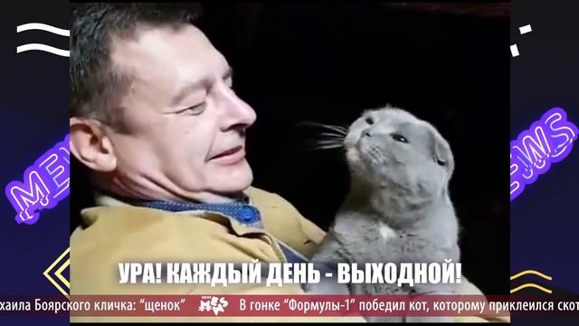 Mews News | Первомай, кот-боец и Егор Крид смотреть онлайн