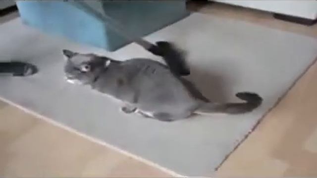 Прикольное видео!ахахха советую всем посмотреть!