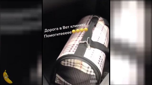 12 МИНУТ НОВЫХ ПРИКОЛОВ|ЛУЧШИЕ ПРИКОЛЫ|СМЕХ ДО СЛЕЗ|РЖАКА|ТИК ТОК| МАРТ 2021| #25 смотреть онлайн