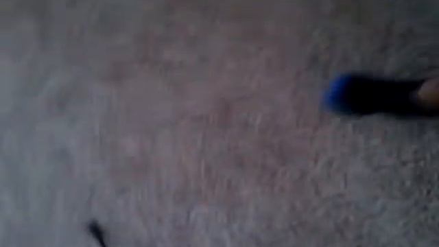 Braylonbell and steven willams смотреть онлайн