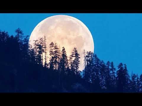 Наталья Колесникова. Читает Владислав Витковский смотреть онлайн