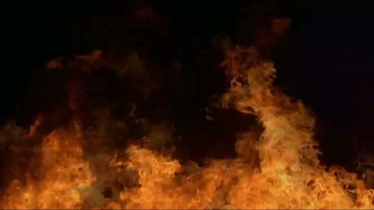 Илья Таранов. Владислав Витковский смотреть онлайн