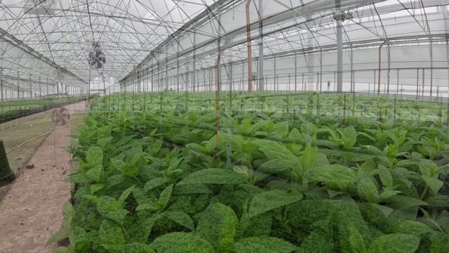 Садовый Центр