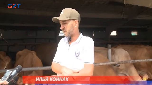 НОВОСТИ /25 08 2022/ смотреть онлайн