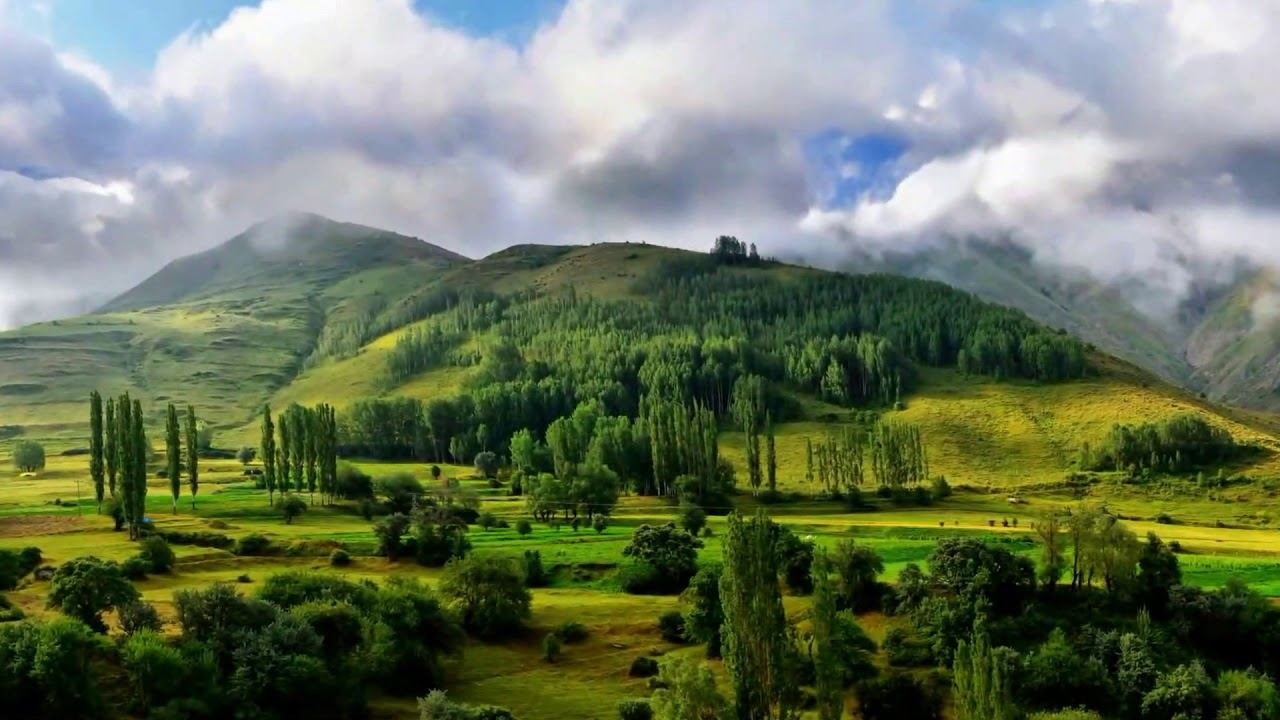 Лидолия Никитина - Разрешите подарить цветы. Ищу собеседника. Читает Владислав Витковский смотреть онлайн