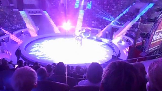 ЦИРК. Ярослав Запашный. Тигры на земле и в воздухе. 08.10.2023 - 3