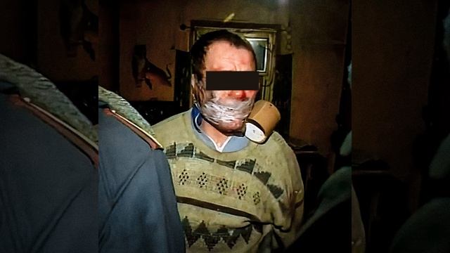 Шерсть смотреть онлайн