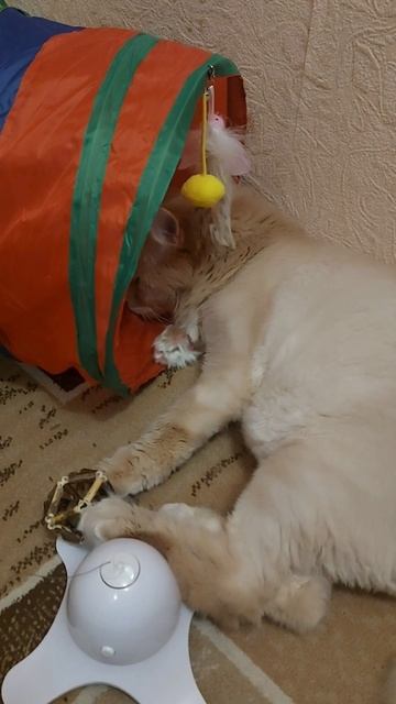 Возвращаю ) смотреть онлайн