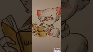 Countryhumans приколы тик ток