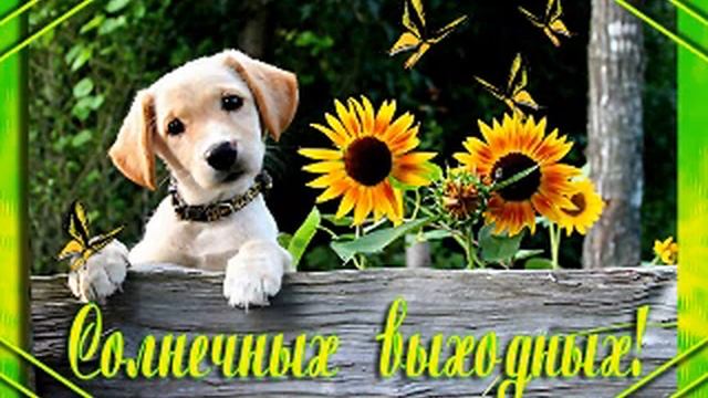 хороших выходных i&sax смотреть онлайн