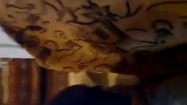 Ляля с парнем поссорилась= смотреть онлайн