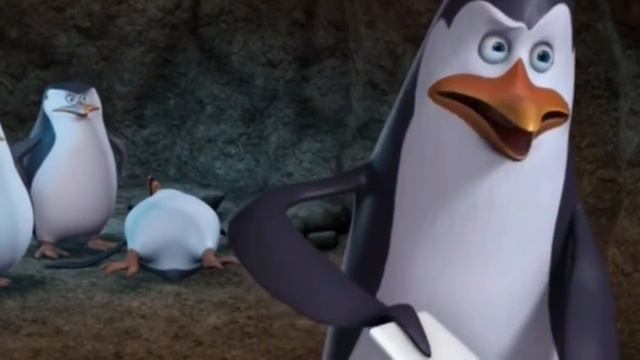 Адагаскар RYTP