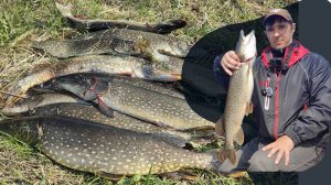 ЩУЧЬЕ ЭЛЬДОРАДО ВЕСНОЙ!!! НЕВЕРОЯТНАЯ РЫБАЛКА, ВСЁ С ОДНОГО МЕСТА!