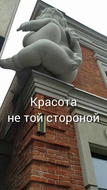 Красота не той стороной #разбуди_творца