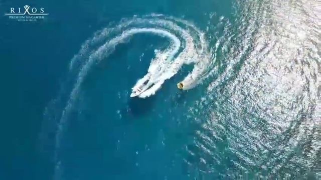 Туры в Египет!