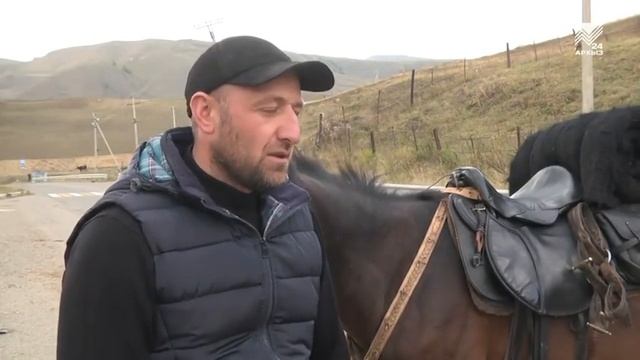 карачаевская порода лошадей смотреть онлайн