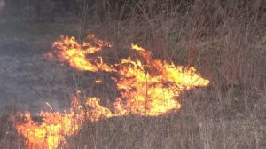 Представители МЧС напоминают об штрафах за поджог сухой травы