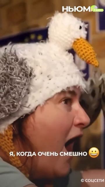 В Бельгии прошёл чемпионат по крику чаек! 70 человек доказывали, что умеют подражать голосам птиц. смотреть онлайн