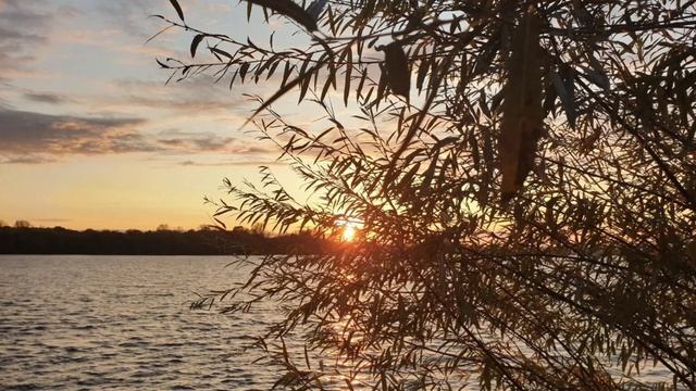 999.🎼. Людмила Николаева - «Быть Единственной» смотреть онлайн