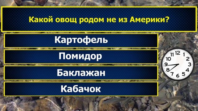 Интересные вопросы на эрудицию и кругозор с ответами #333 /Тест на общие знания /Тест на эрудицию смотреть онлайн