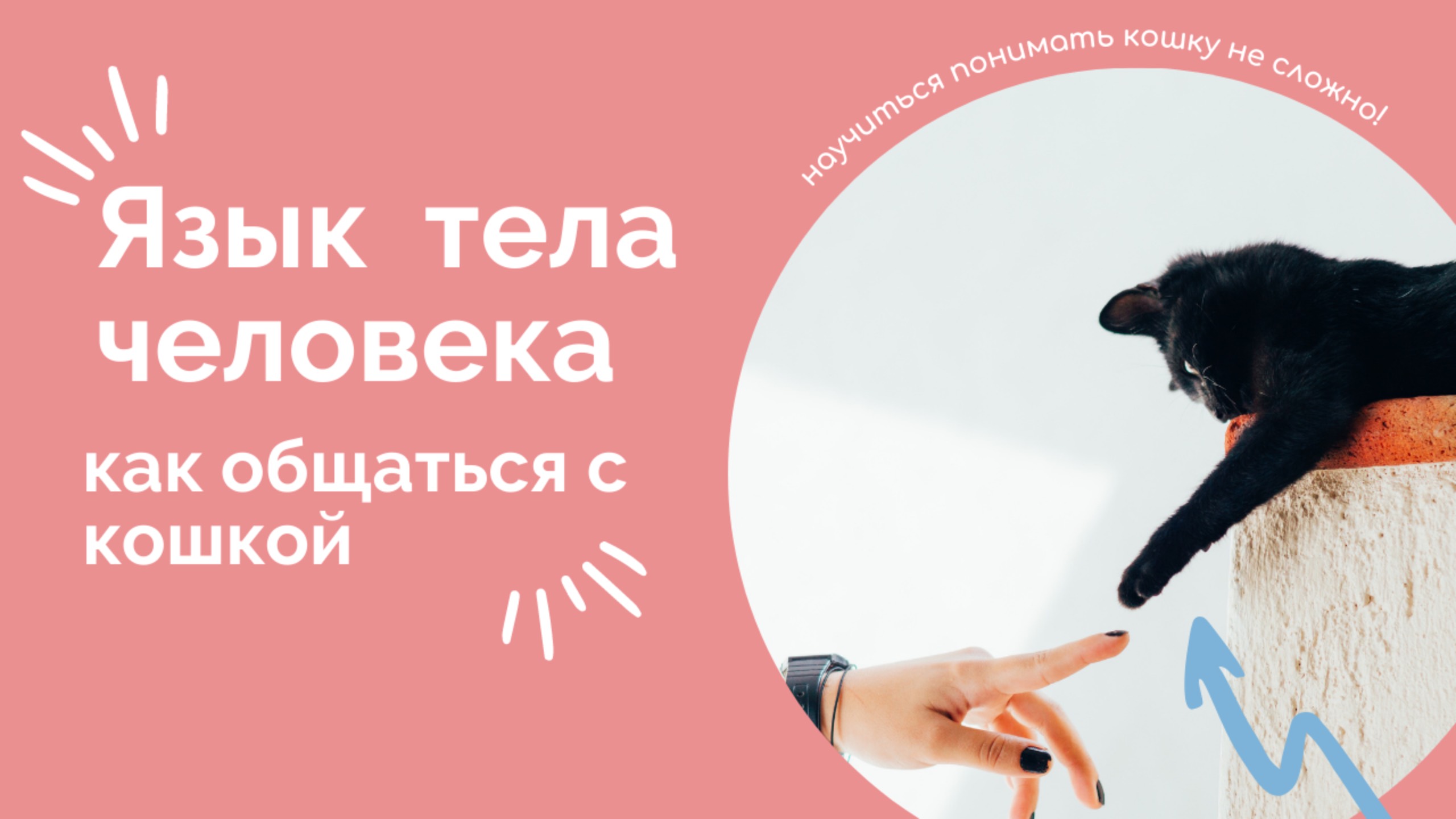 Что ваши жесты значат для кошки? смотреть онлайн
