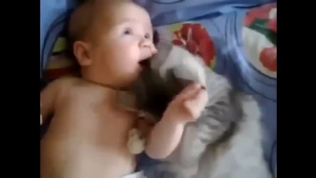 Кошка любит Детские развлечения смешное видео видео приколы приколы видео юмор приколи приколы смотреть онлайн