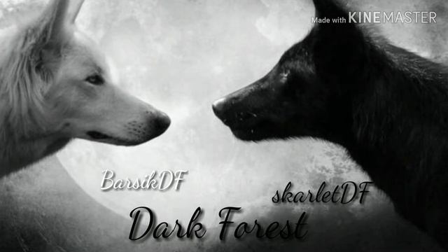 я и моя напарница