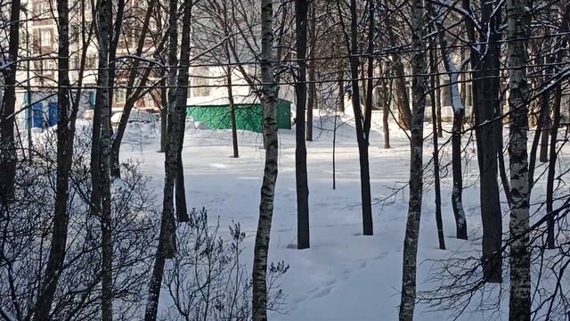 21 февраля 2023 г.(1)