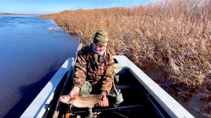 Вот это налим попался! Рыбалка на фитиль (вентерь) и сети на севере