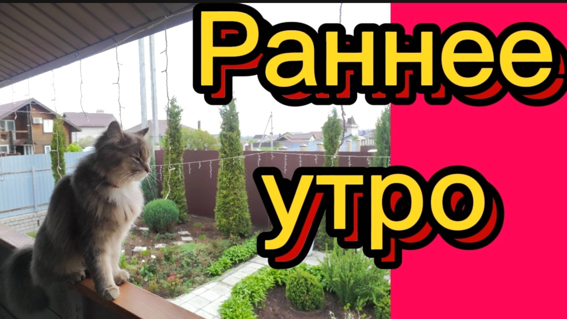 РАНЕЕ УТРО. 🌲🌺🕊 смотреть онлайн