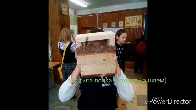 Приколы школы смотреть онлайн