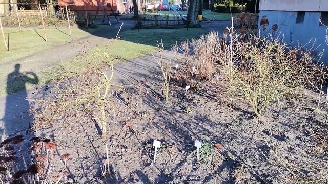Gartenrundgang 19. Februar 2023 смотреть онлайн