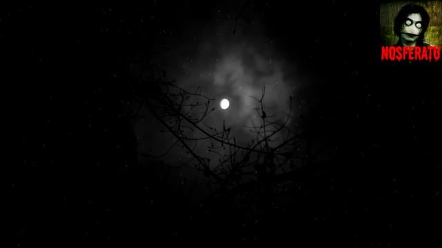 Когда ты один . Страшные истории на ночь 🫣🫣🫣 смотреть онлайн