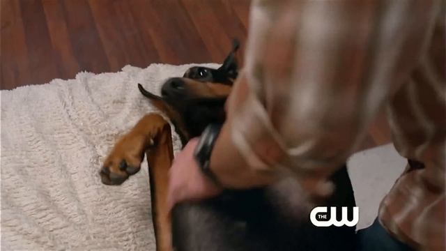 Фрагмент из серии 8.15 (русская озвучка) смотреть онлайн