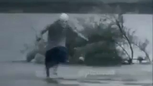 Прикол эх понеслись смотреть онлайн