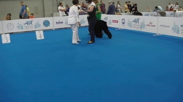 IMGA0114 кобели ветераны смотреть онлайн