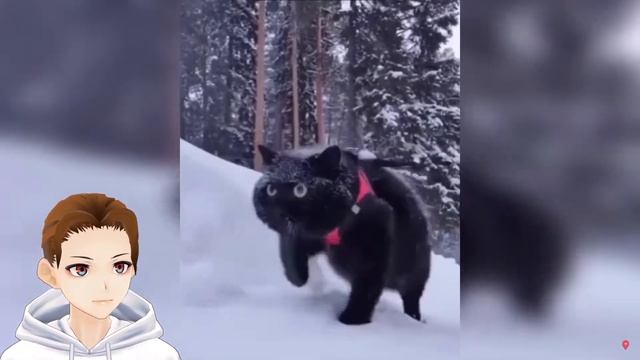 ЗАСМЕЯЛСЯ - ПОДПИСАЛСЯ!! ЛУЧШИЕ ПРИКОЛЫ 2021 ТЕСТ НА ПСИХИКУ УГАР! #51 | Реакция Картошки Vtuber смотреть онлайн