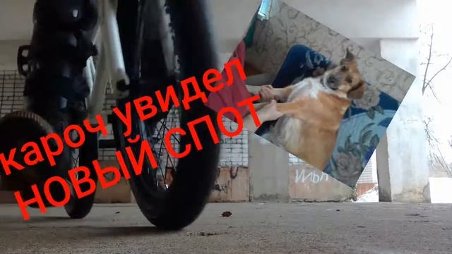 "Лучшие" споты зимой в боровичах смотреть онлайн