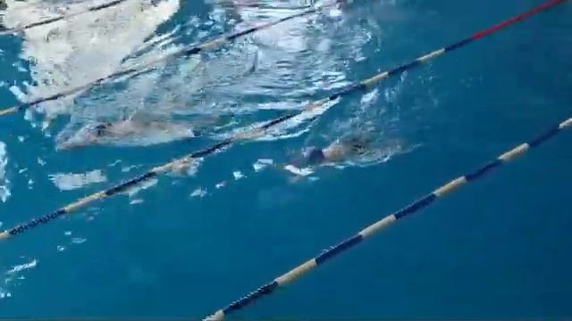 Брасс, 100 метров. Выступление в Хотьково. 17 февраля 2024 г.