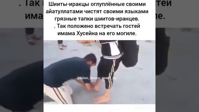 Религия шиитов смотреть онлайн