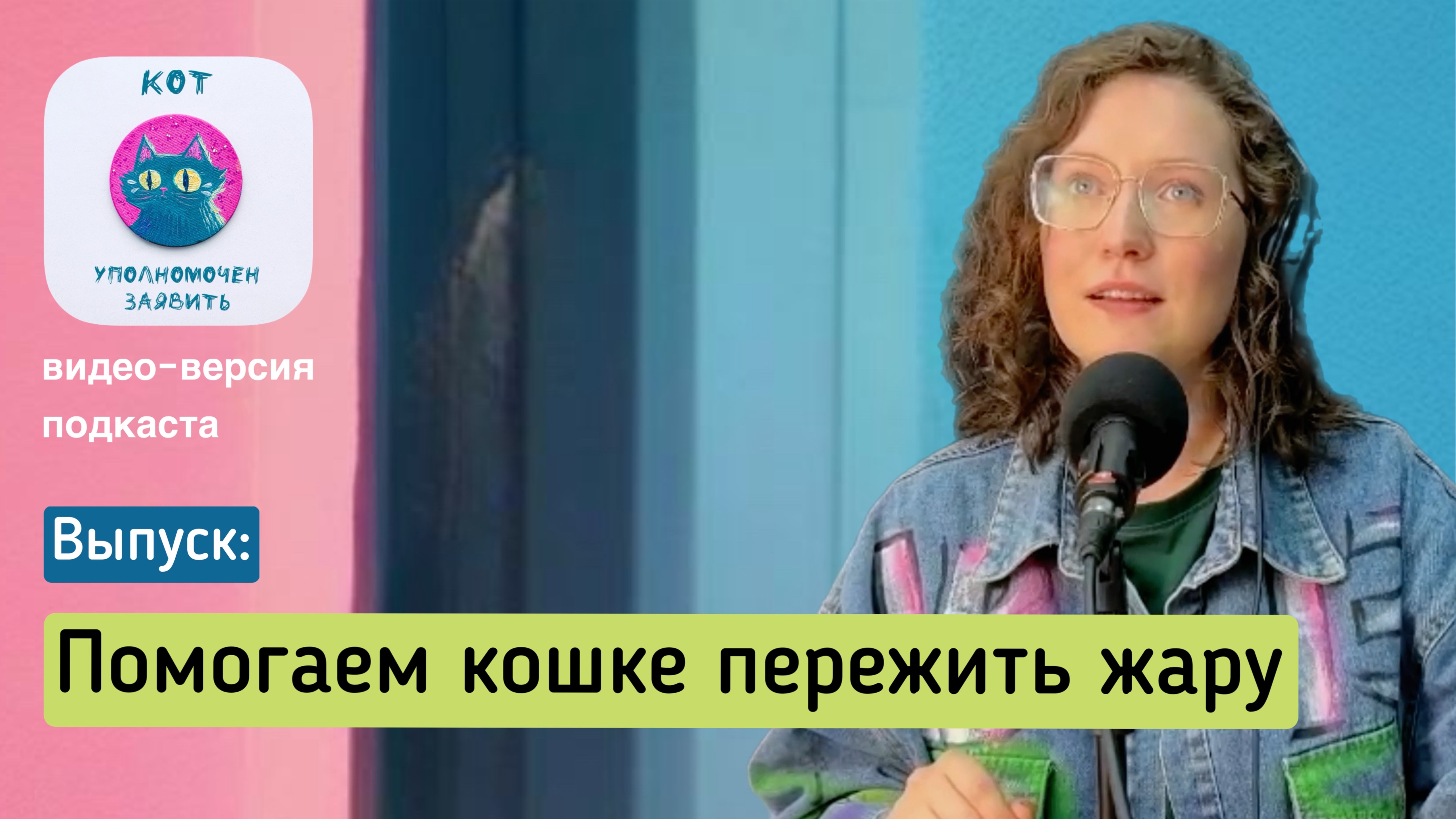 Помогаем кошке пережить жару смотреть онлайн