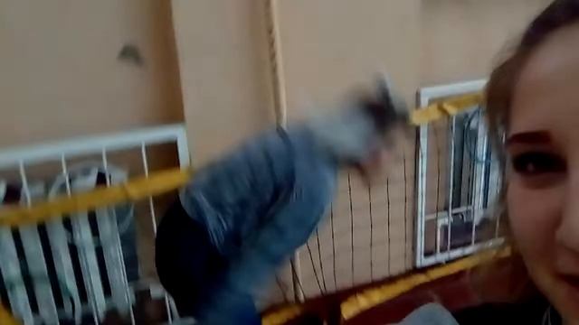 Спорт,шутки,учёбы) смотреть онлайн