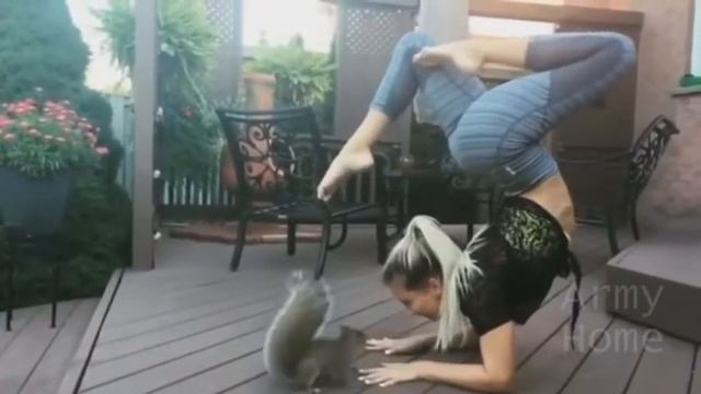 Приколы 2016 смешные видео прикольные видео Смешные испуги людей Свежие приколы funny fails смотреть онлайн