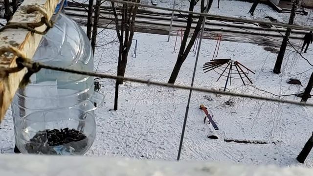 птички синички смотреть онлайн