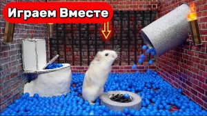 Побег хомяка из классического лабиринта с ловушками – веселое приключение! 🐹🌀 Видео для детей