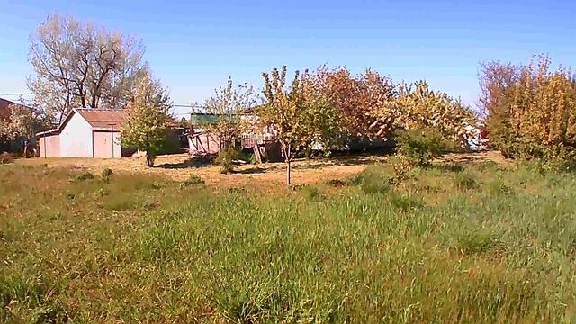 Второй продуктивный покос)