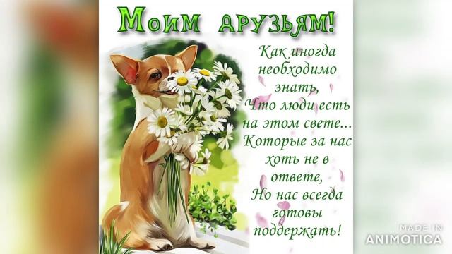 #настоящим_друзьям посвящается ! ! ! смотреть онлайн