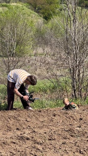 Зеленый 💚 пояс: сажаем деревья 🌲 вокруг Волгограда