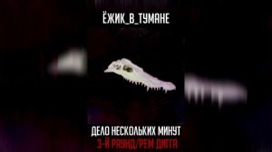 ПУТЬ К ФИНАЛУ: ЁЖИК_В_ТУМАНЕ #10 (17-й независимый баттл)